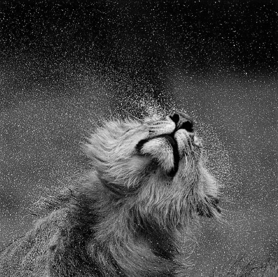 Au milieu des Étoiles